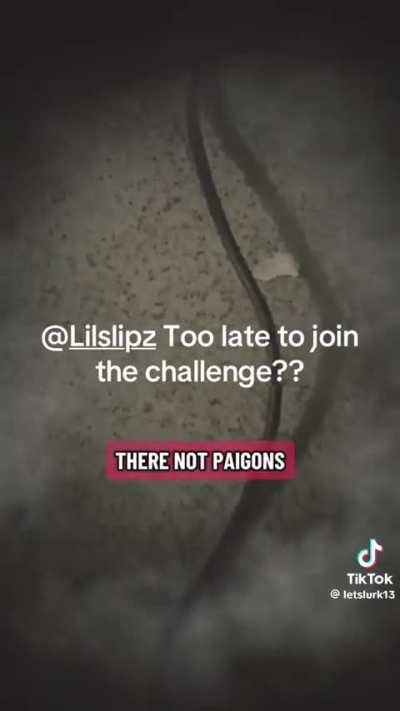 TwoLzz (Woodgreen) sending for Hoxton