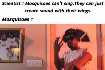 best bar from a mosquito