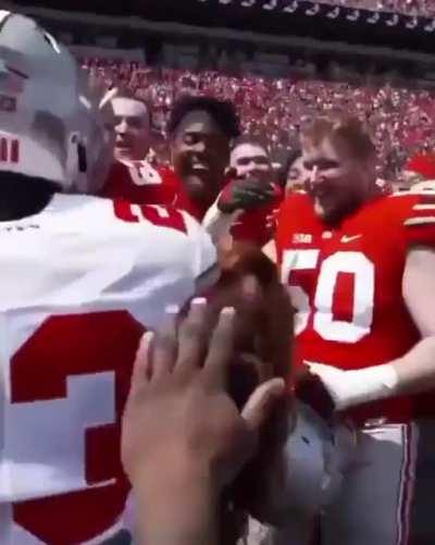 Мечта любой девушки