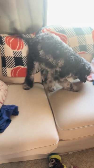 We call this “ revving his engine.”