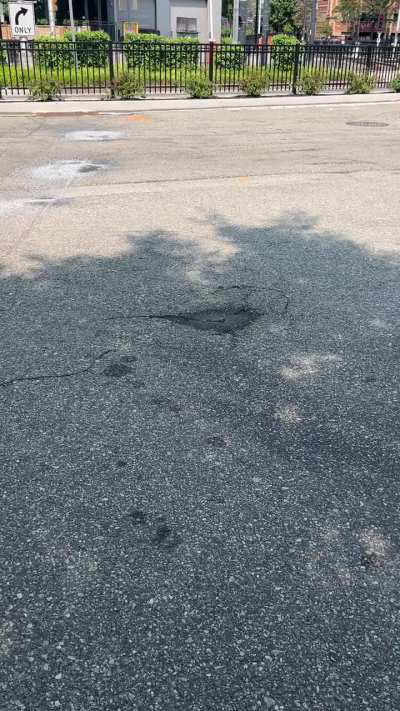 Any clues on what this is?