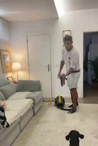 blursed_second clip's dog