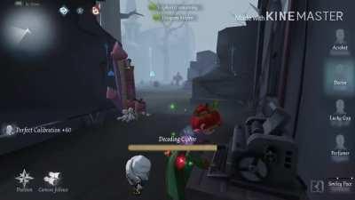 i wasn’t sure what i was seeing at first