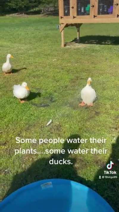 When you finally have a warm day in the PNW:)