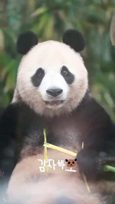 Full Moon staring at you