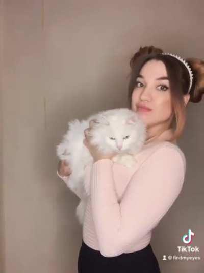 Soft cat 🐈 [@findmyeyes]