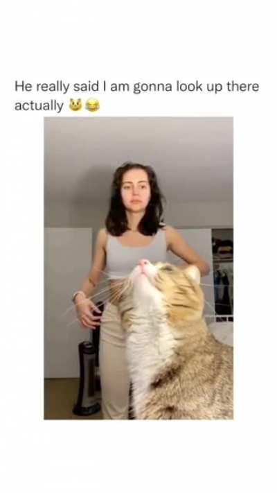 Sweat there's a fly up there, through?