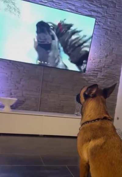 He doesn't seems impressed with it.