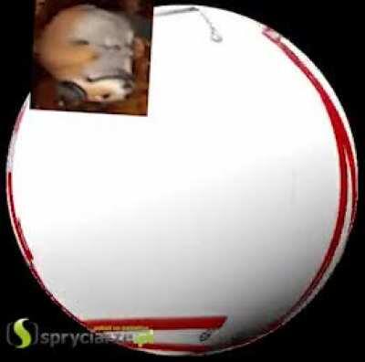 Podwójna pompa na siłowniku umożliwia dwa razy szybsze podnoszenie