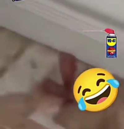 That’s one way to solve the cricket sound annoyance. 