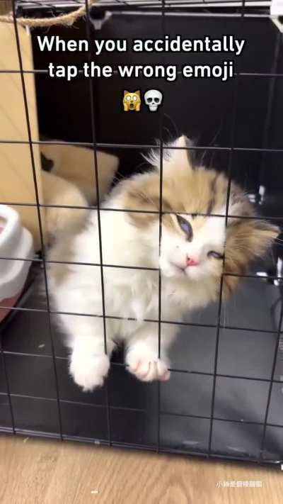 Keyboard malfunction 🤣