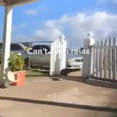 them mfs do be annoying fr