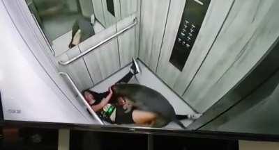 Dog Attacks Owner in Colombia