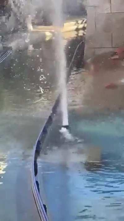 dUcK fUcKiNg ExPlOdEs