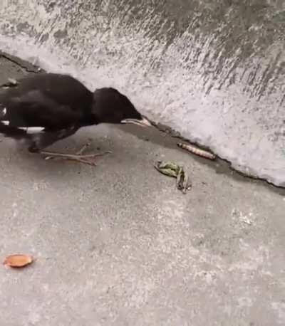 When you still need your mama