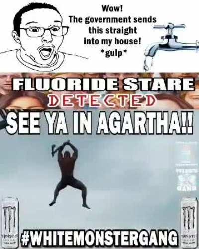 Fluoride Consoomer