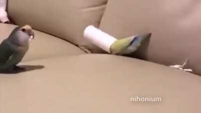 Bunu her gün ama her gün izliyorum