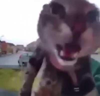 早上好中国 现在我有冰淇淋 我很喜欢冰淇淋 🇨🇳🇨🇳