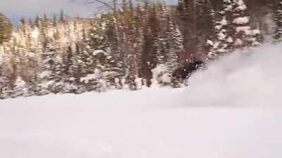 The size and SPEED of a moose in about 3 FEET of snow