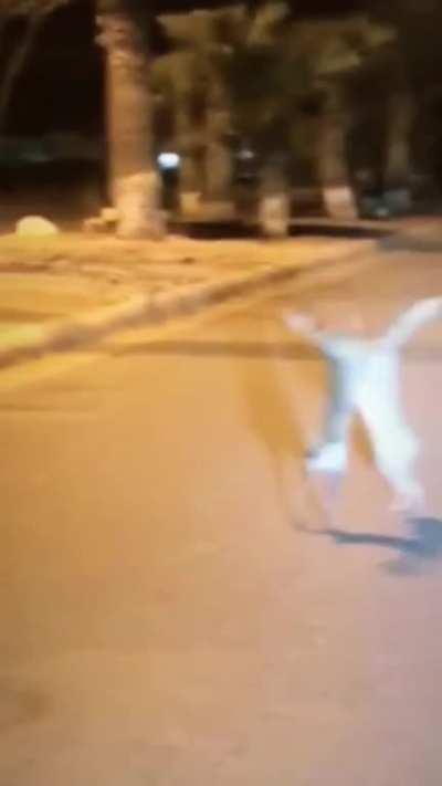 It’s over bunikin I have the tall ears!