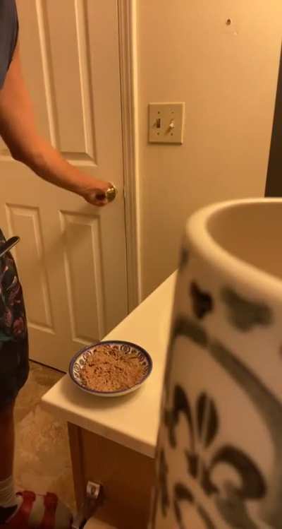 So I prepare my cats food in my bathroom to avoid them nibbling while I’m making it. They are well aware of this. I am a slave.