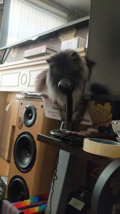 [OC] Does this fan taste funny to you?