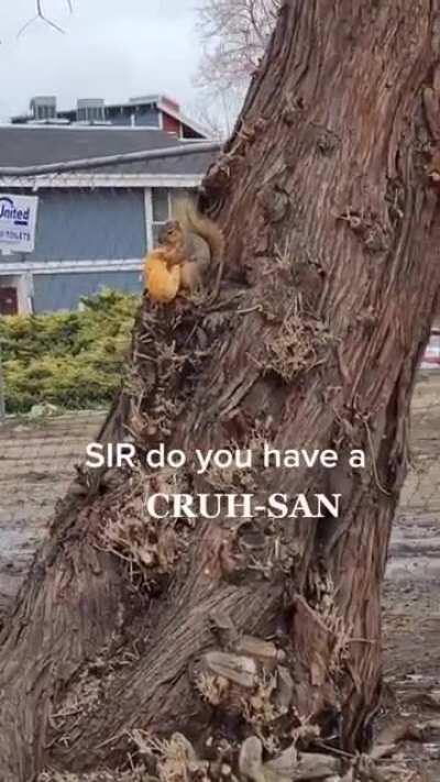 She’s all like “ yeah and you ain’t getting none “