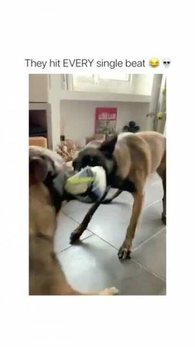 Didn't miss a single beat