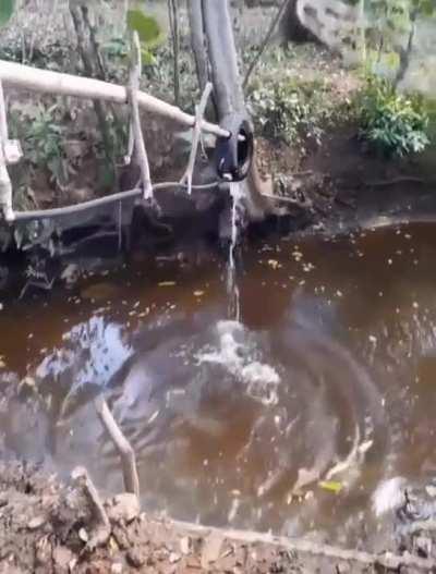 How kind of it to work for free, voluntarily!