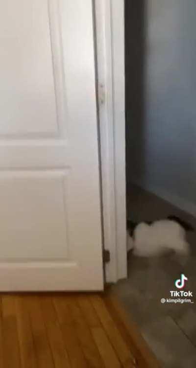 Found this greeble on tiktok