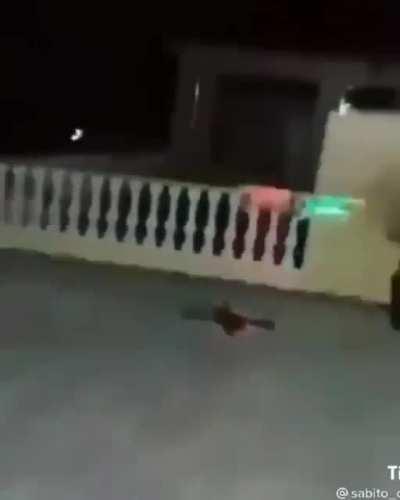 CODM drone in real life (ctto:)