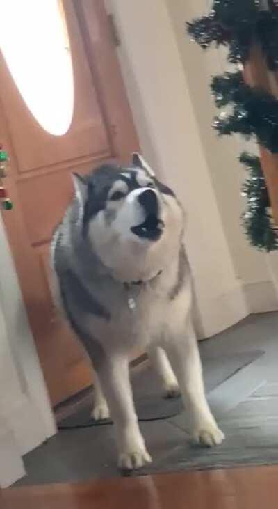 I have something to say