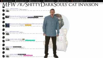 ENOUGH WITH THE FUCKING CATS