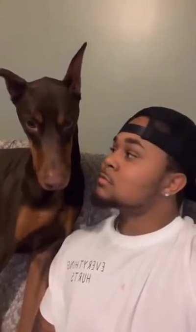 What does your dog do when you kiss it on the head?