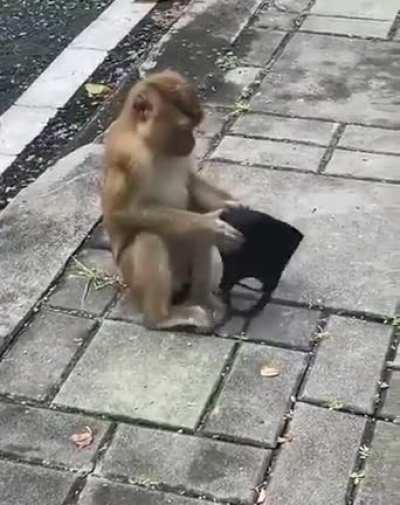 Smarter than most humans