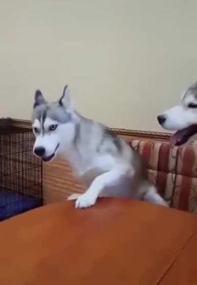 Go away ,...you're drunk!