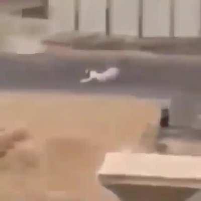 İyiki bu flair var ha yoksa linçlenme olasılığım vardı :q