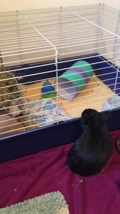 Is this a good sign for bonding?