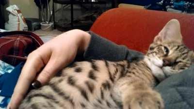 Chief, when he was a small motorboat