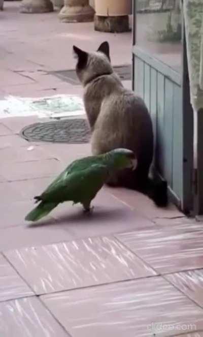 Все любят...