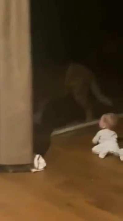 Late night crawls be like...