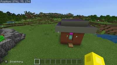 I made a color changing house!