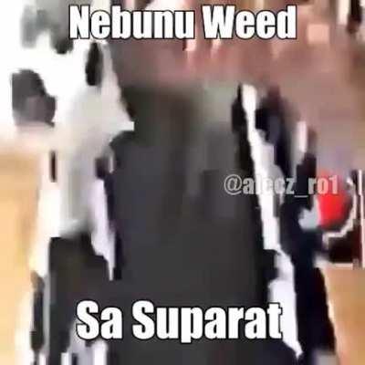 Nebunu Weed e suparat, oare de ce? 🤔🤔🤔🤔