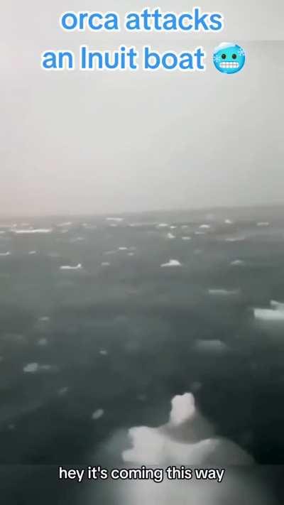 You're going to need a bigger boat