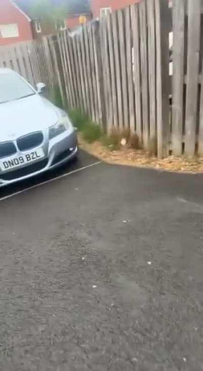 Why can't you just do it like everyone else.....