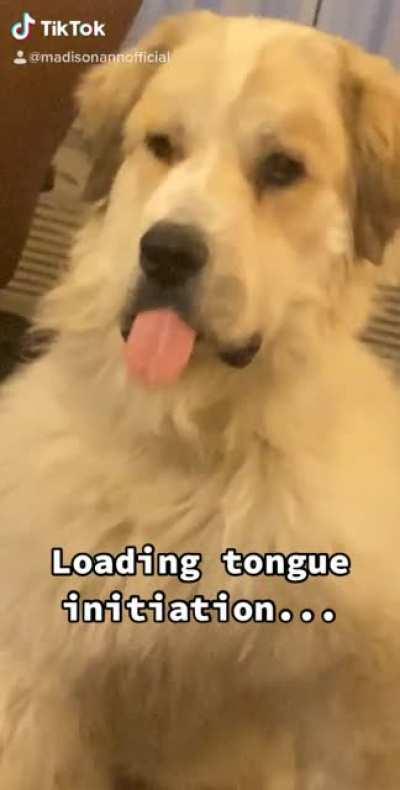 Begin Mlem Response