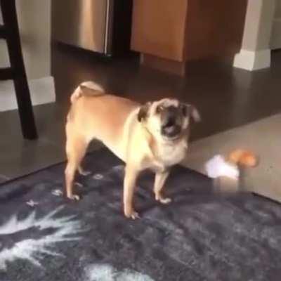 he is clearly unhappy