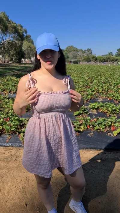 Picking strawberries when I really just want to be plucked [gif]