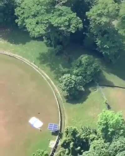 My heart stopped for a second