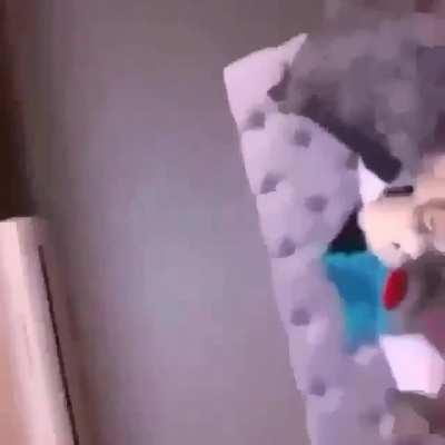 Little teen learning that there is more than one use for electric tooth brushes